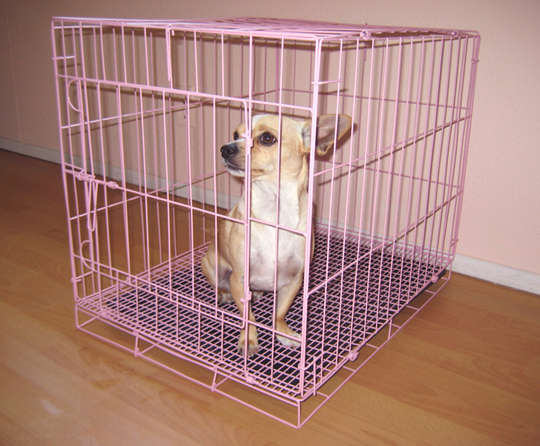 http://www.mppetsupply.com/pet_cages_9004_medium_pink.jpg